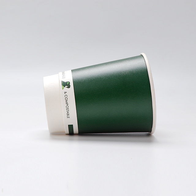 Couptage à base d'eau composable personnalisé Tasse de papier peint à double peint de 12 oz 