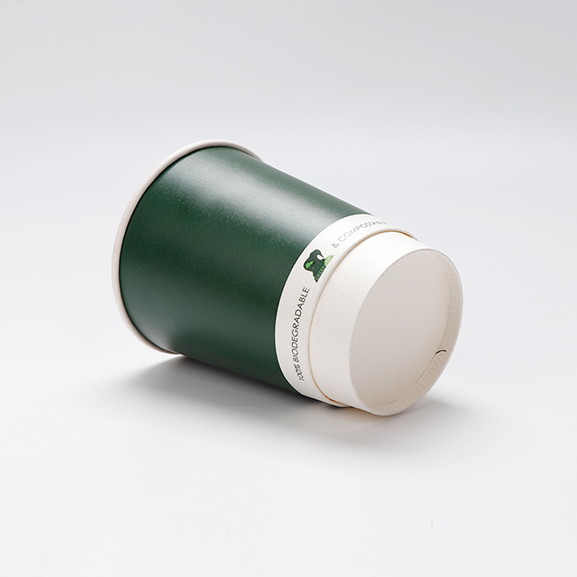 Couptage à base d'eau composable personnalisé Tasse de papier peint à double peint de 12 oz 