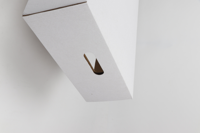 Boîte à poisson en papier imperméable | Solution d'emballage aquaculture de qualité industrielle