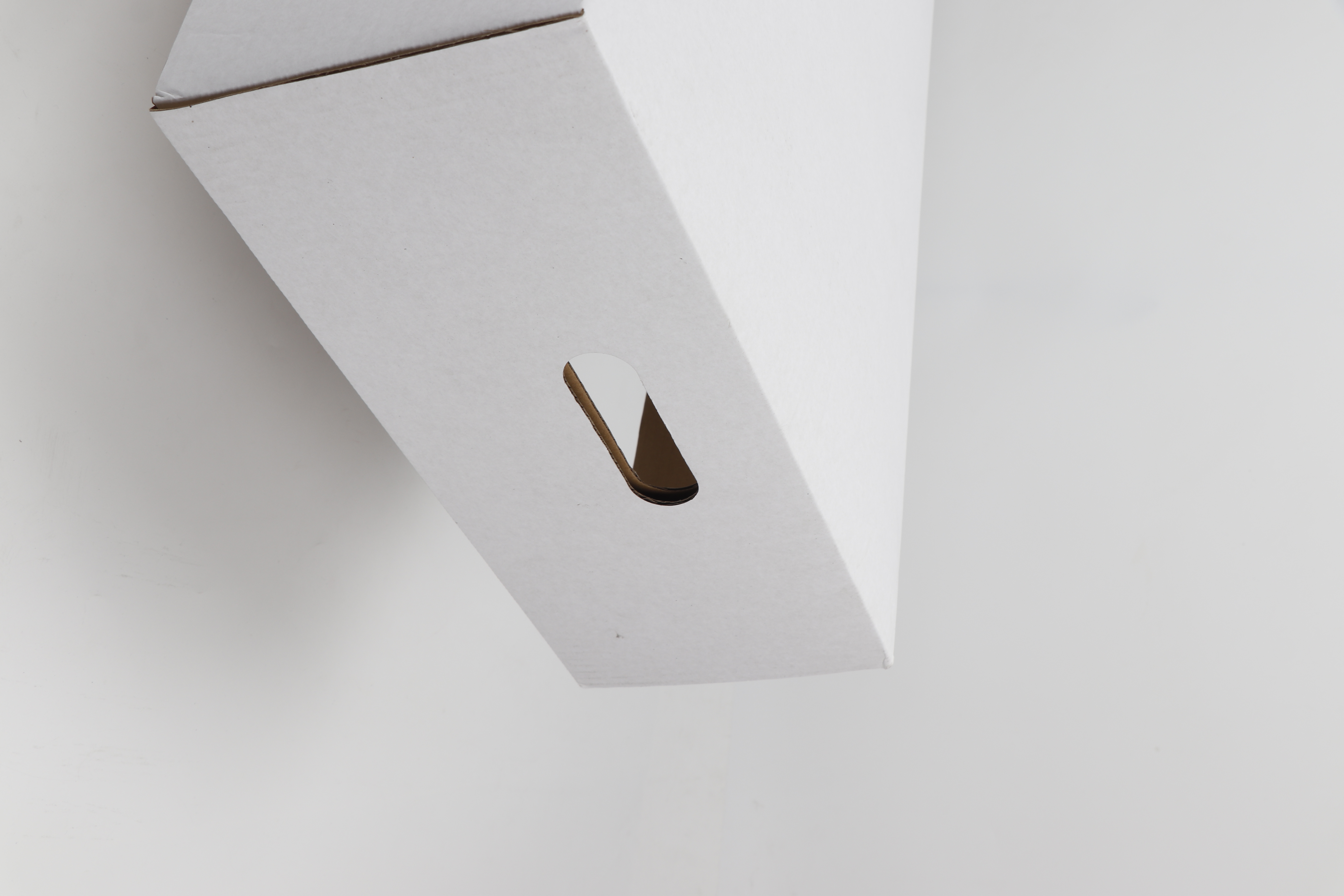 Boîte à poisson en papier imperméable | Solution d'emballage aquaculture de qualité industrielle