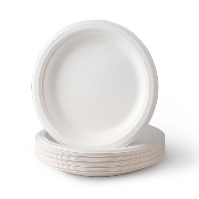 Plateau en papier pulpaire à canne à sucre jetable