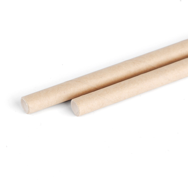 Paies de papier kraft à la bouche plate jetable