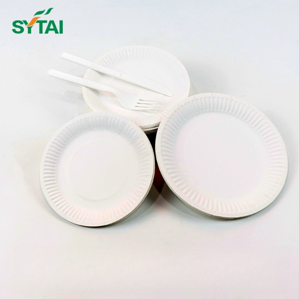 Assiettes en papier compostables en vrac