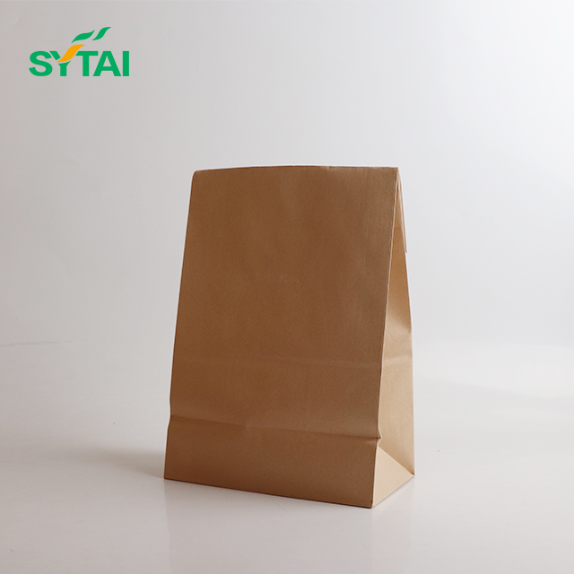 Sacs en papier écologiques faits sur commande d'emballage de SYTAI avec des poignées 
