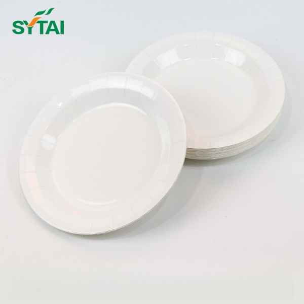 Assiettes jetables écologiques en gros