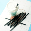 Pailles en plastique biodégradables PLA 8 × 210 mm